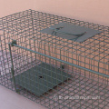 Cages de maison sur les chiens de compagnie personnalisés